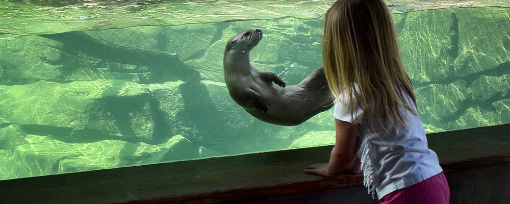 Donate :: Riverbanks Zoo & Garden