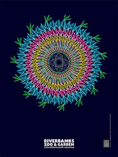 Kaleidoscopic X-Ray Poster